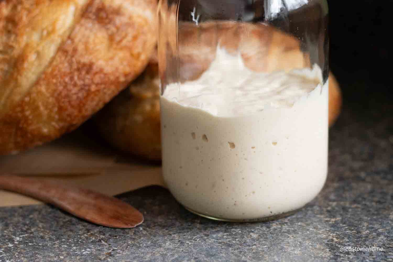 sourdough starter in jar